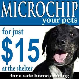 Microchip your pet for 15 dollars